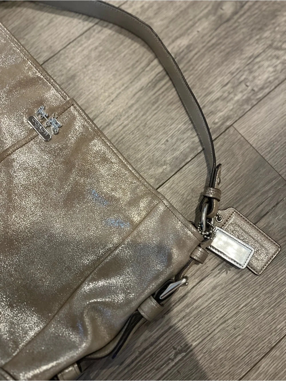 Coach Chelsea Metallic Leather Katarina Shimmer Hobo Shoulder Bag Champagne